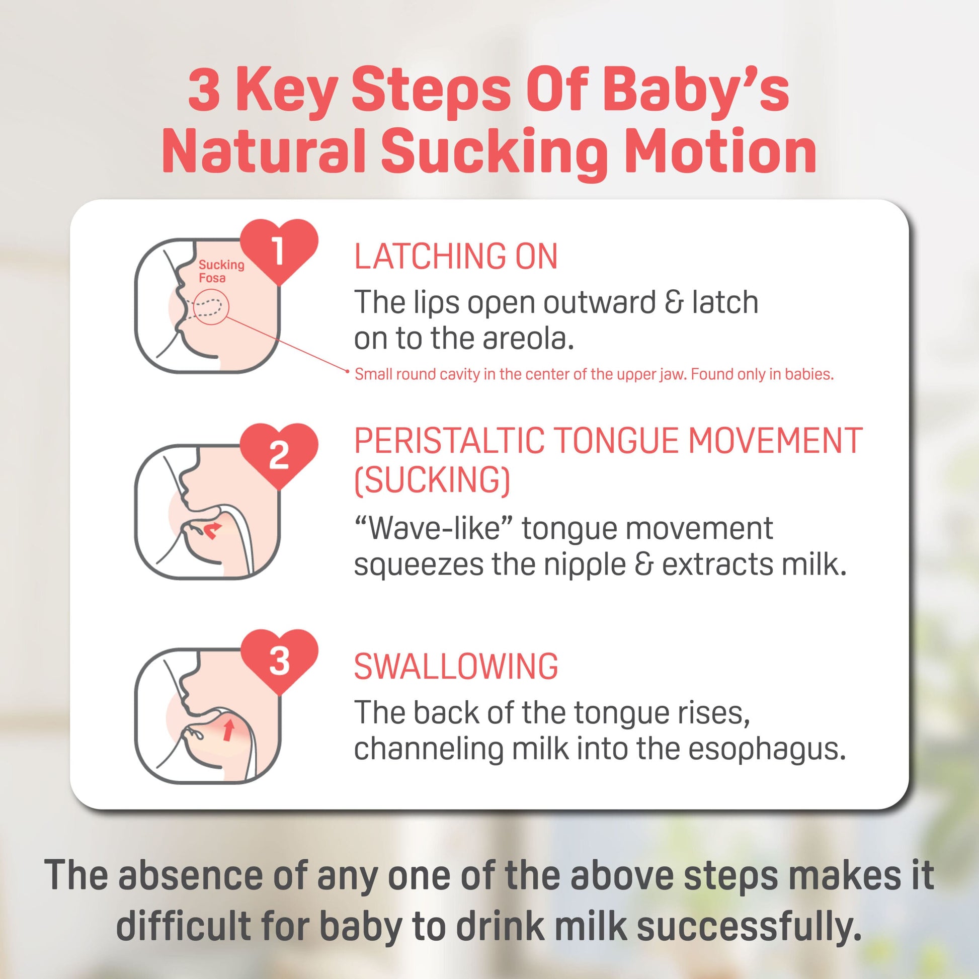 SofTouch™ Nursing Bottle_3 key steps