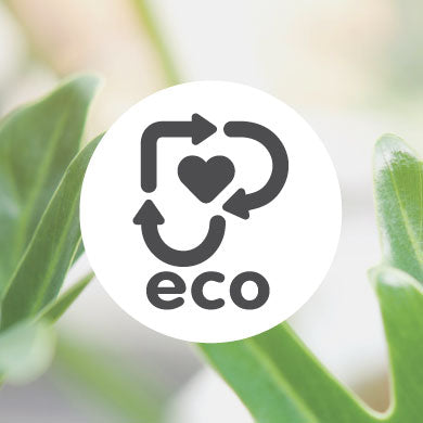 Pigeon Eco Mark