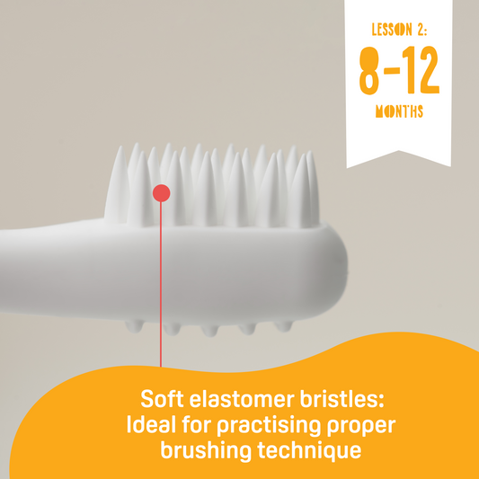 Training Toothbrush Lesson 2 Orange
